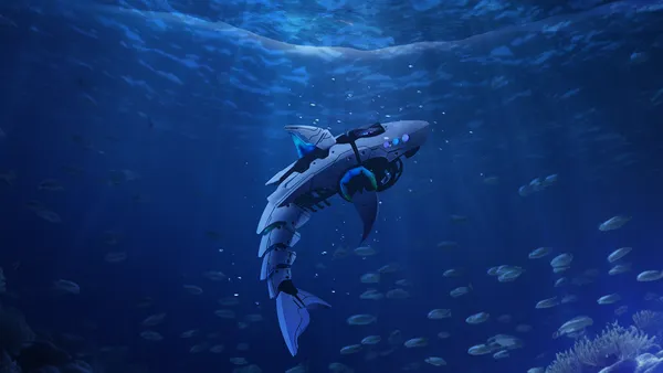 Blue Initiative Program