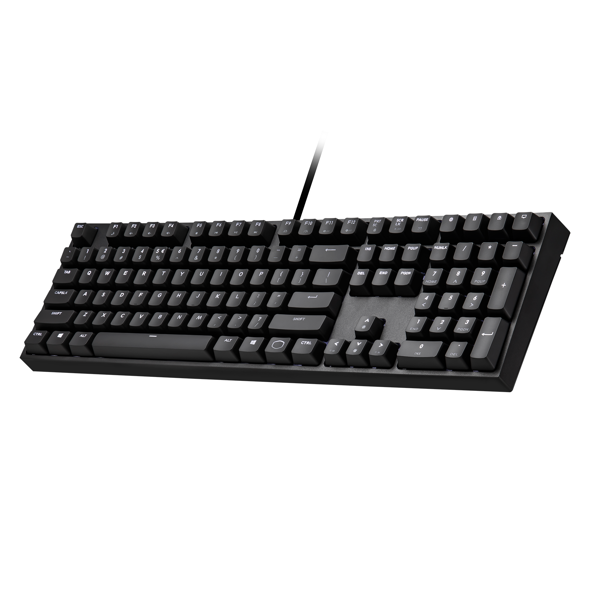 CK320 image number 2