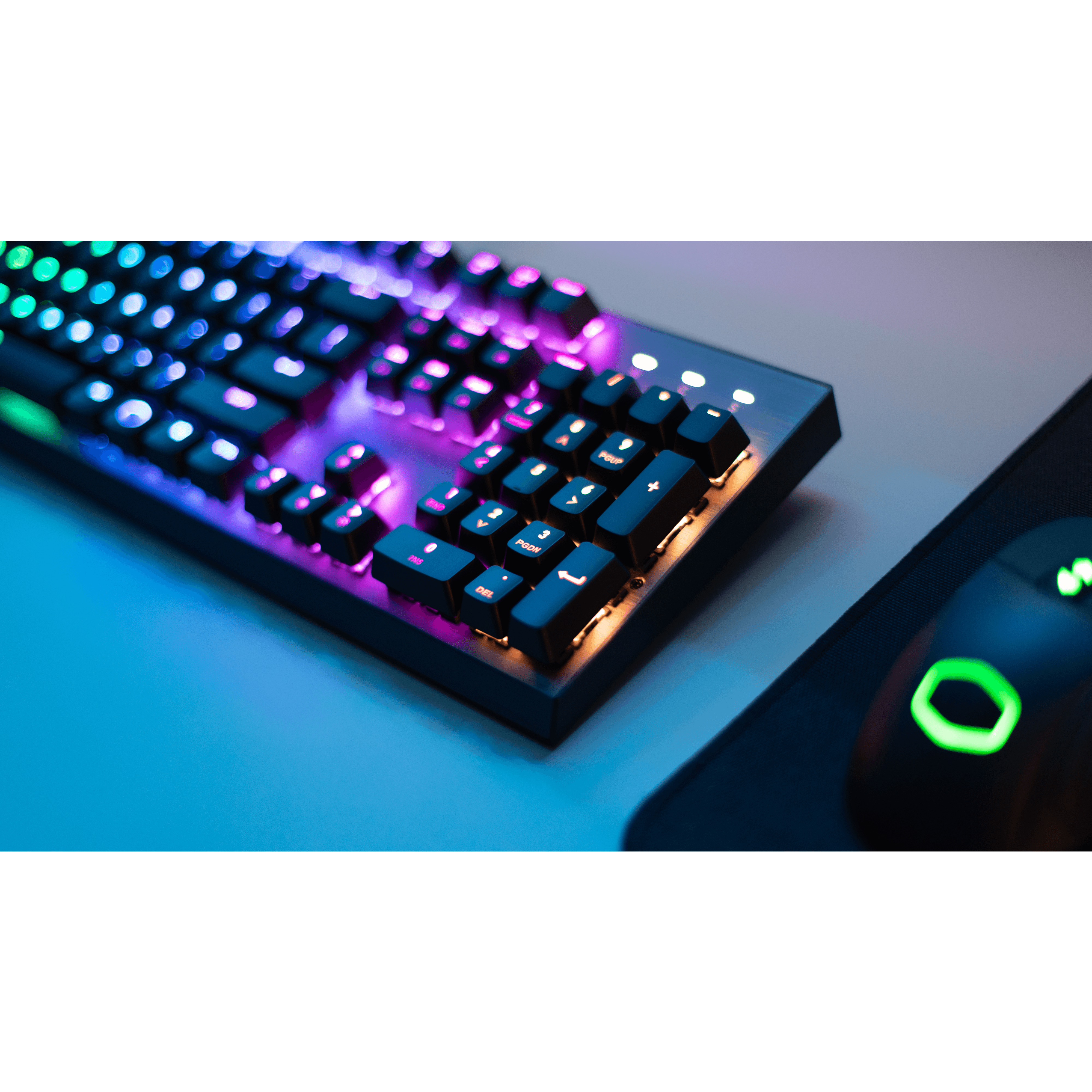 CK350 image number 5