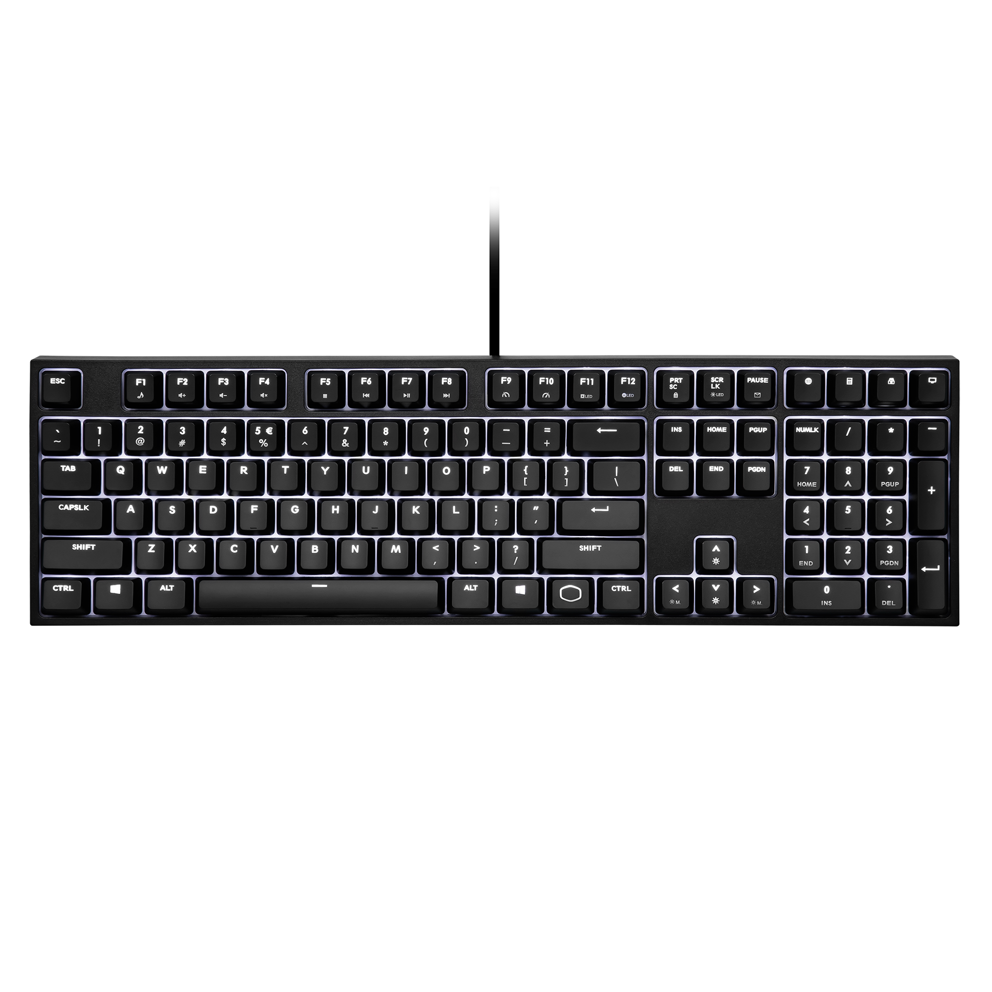 CK320 image number 1