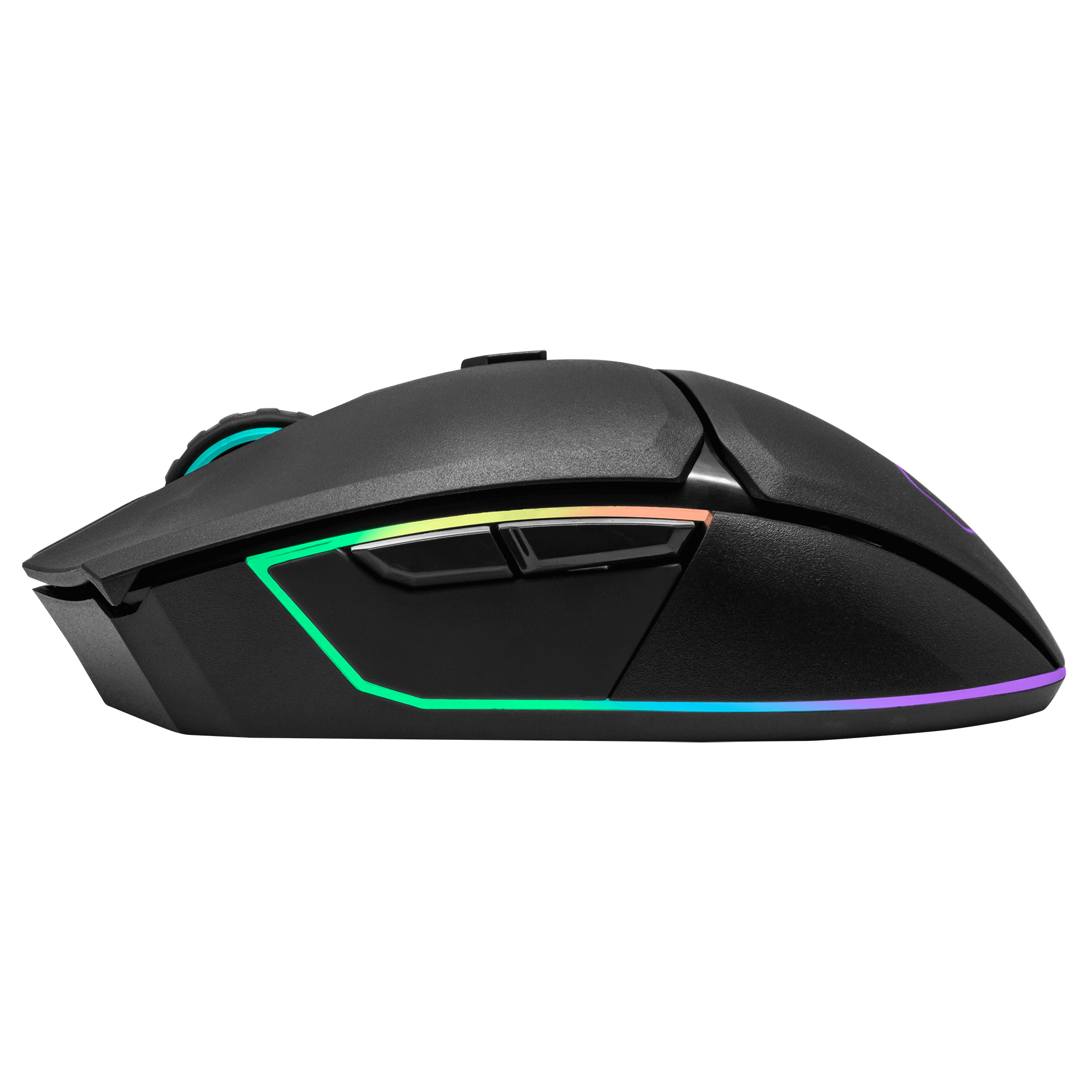 MM831 image number 5